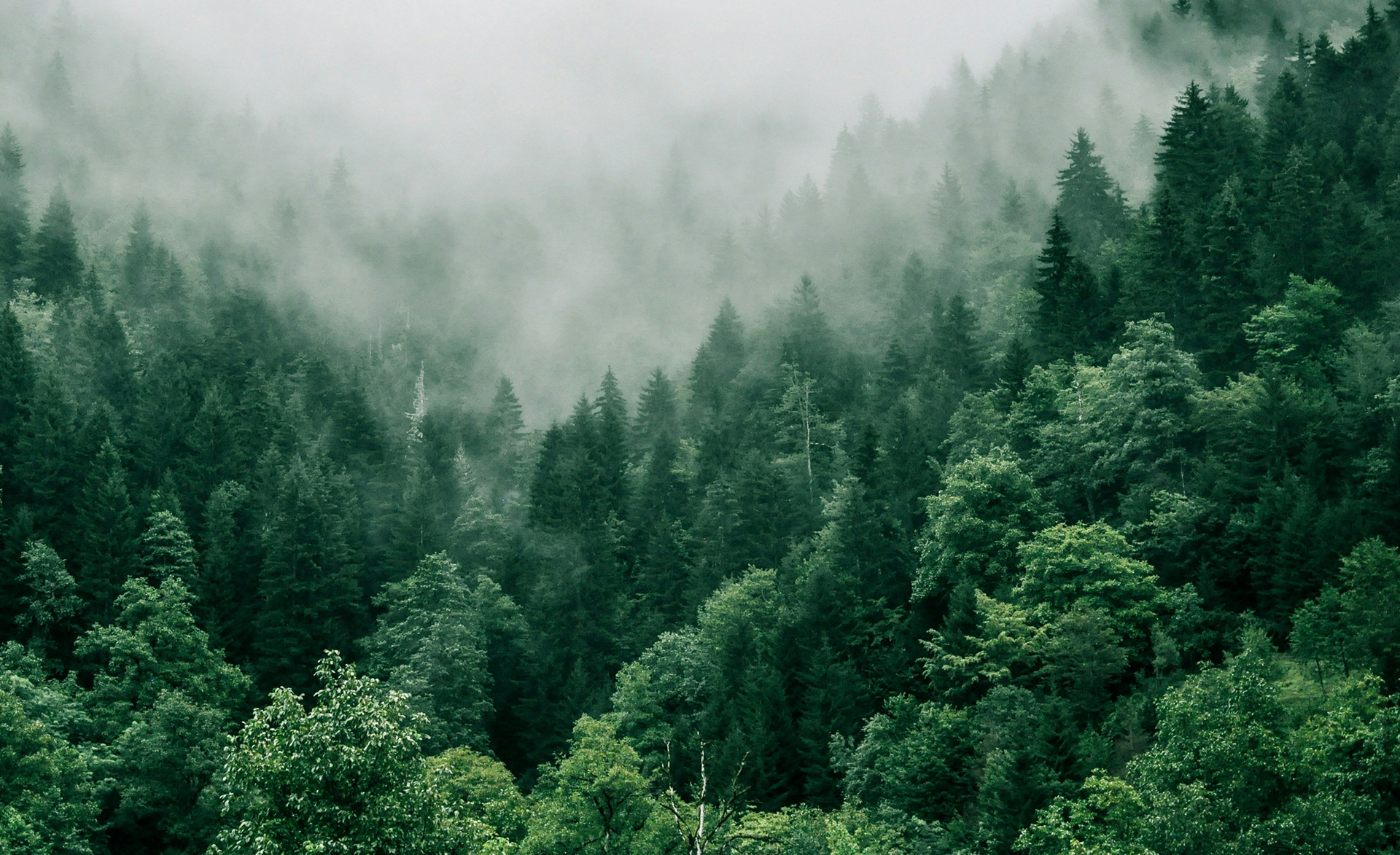 エコ製品と技術的なイノベーション