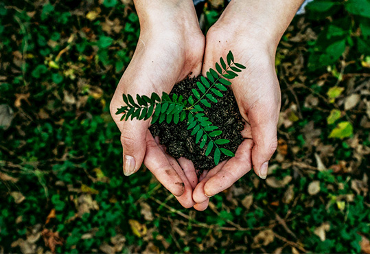 グリーンな未来を、灯りで照らす