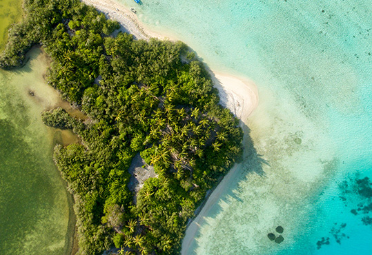 環境配慮型製造