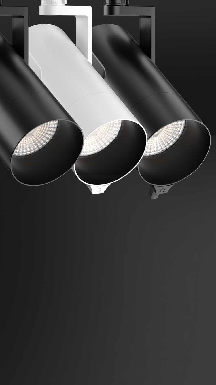 KANO スポットライト