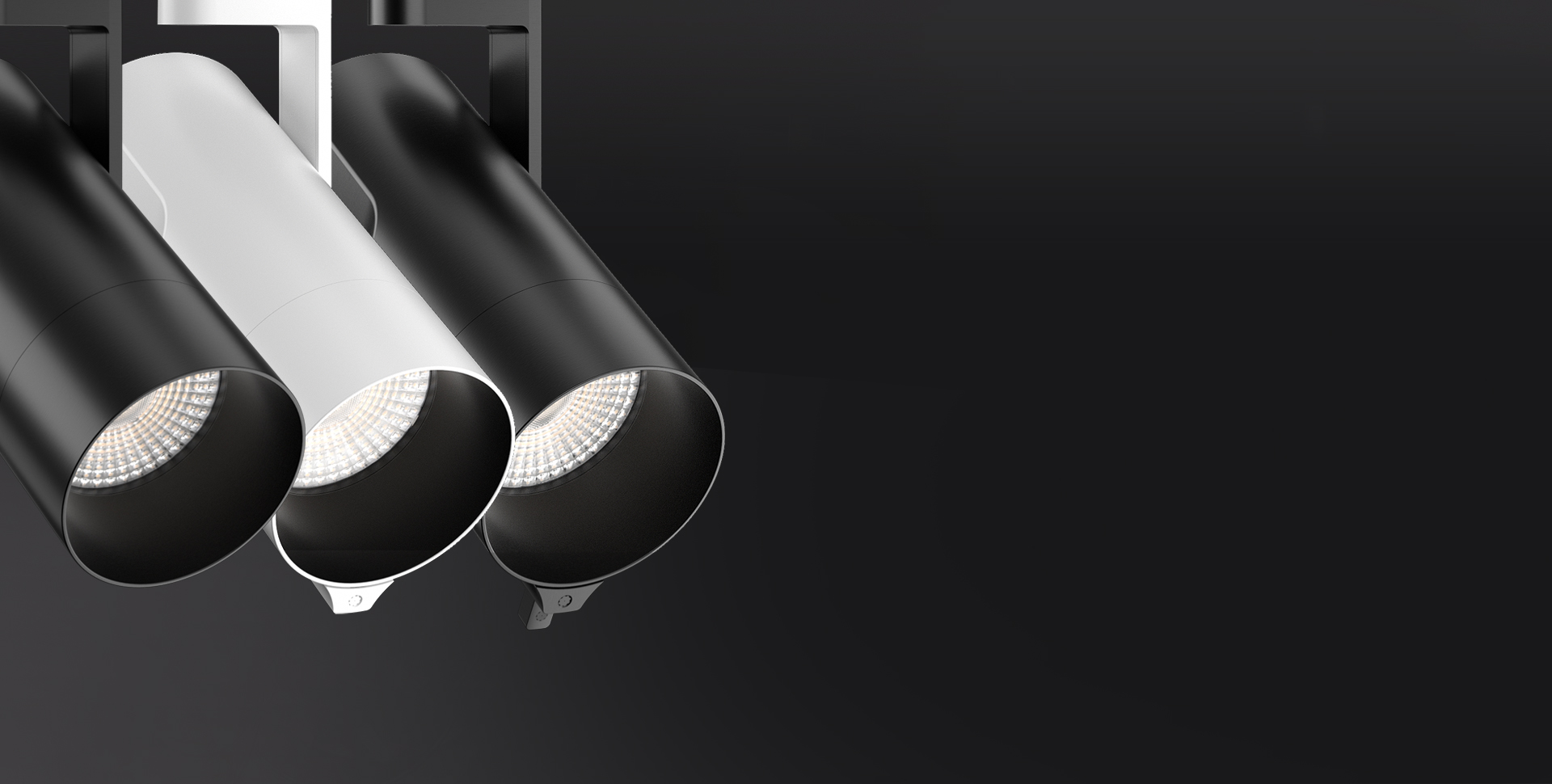 KANO スポットライト