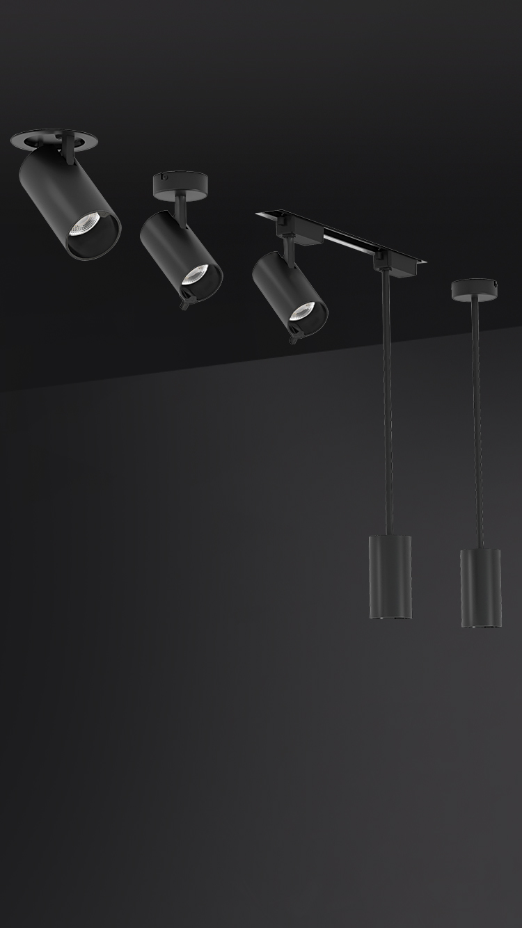 META 2スポットライト