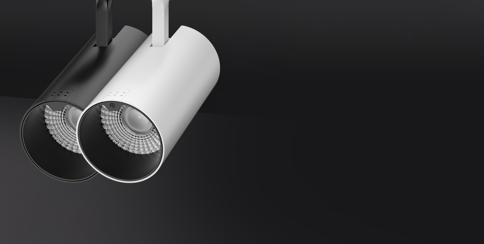 Meta Uni スポットライト