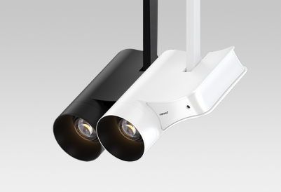 Sara スポットライト