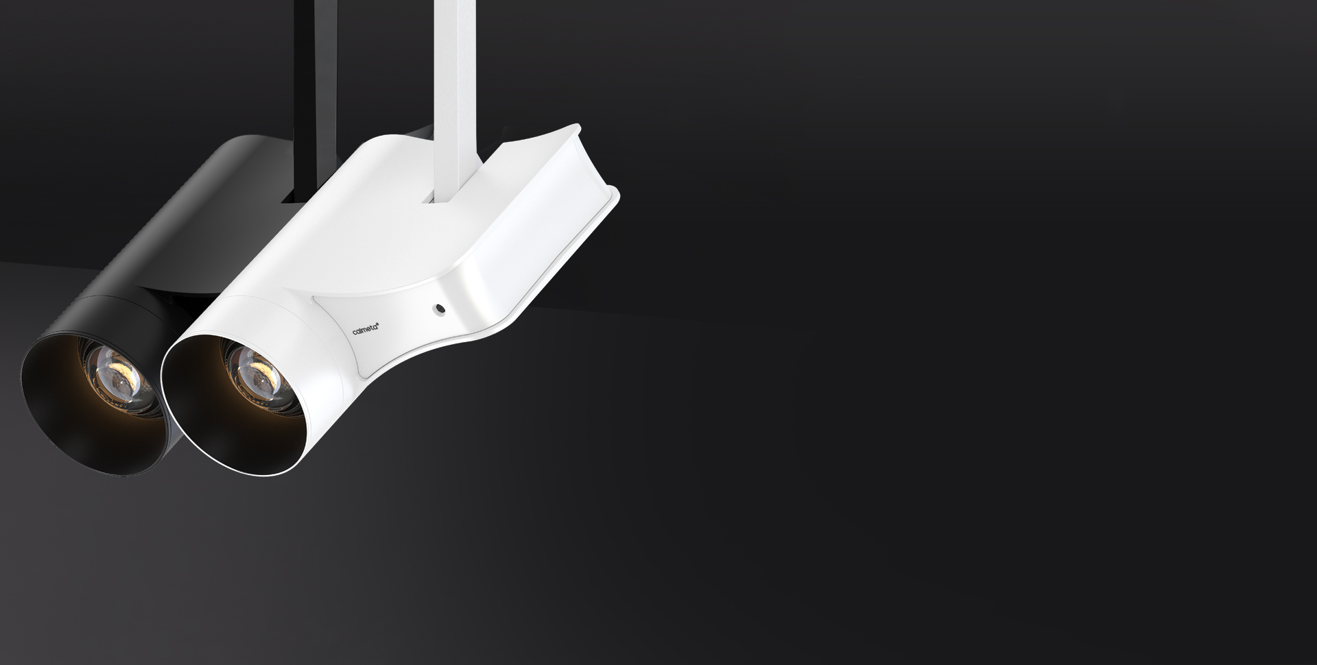 Sara スポットライト