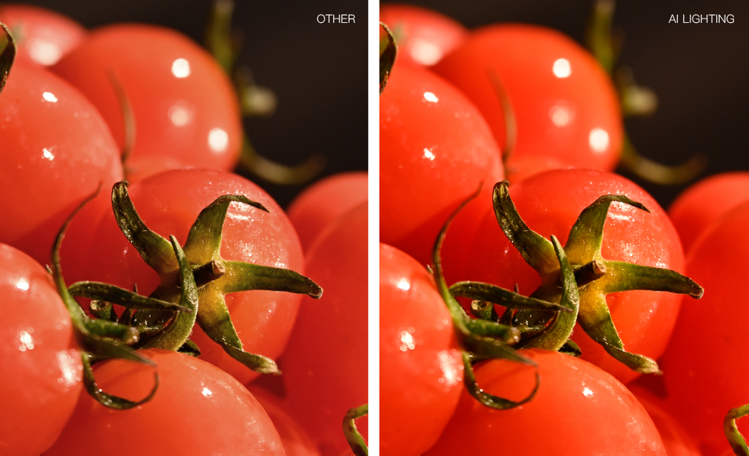 自動物体認識 | 最適スペクトル連動