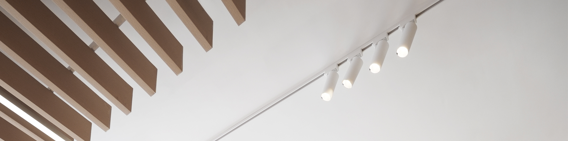 Kinglumiについてもっと知りたいですか？