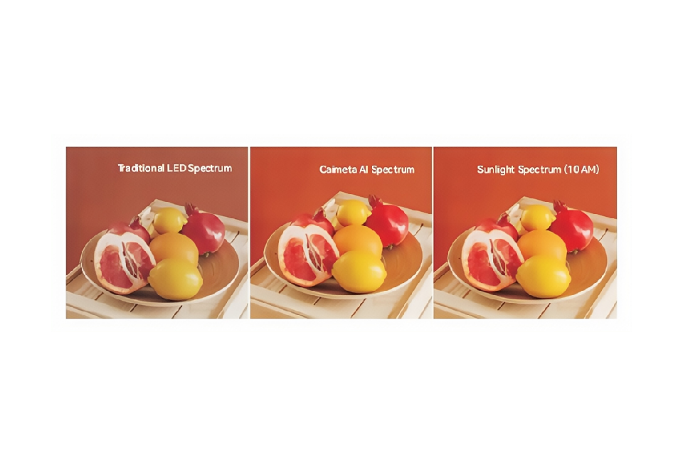 コア機能 1: 自動オブジェクト検知 & 最適光スペクトルの適用