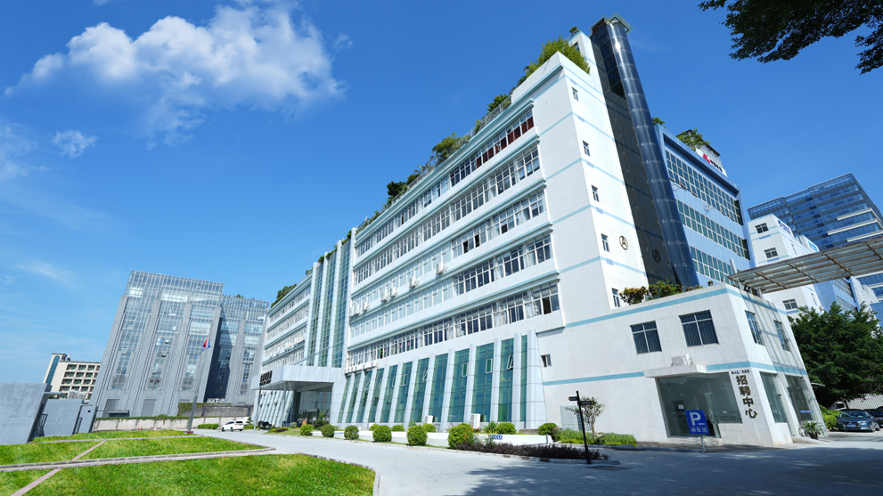 Kinglumiの世界展開