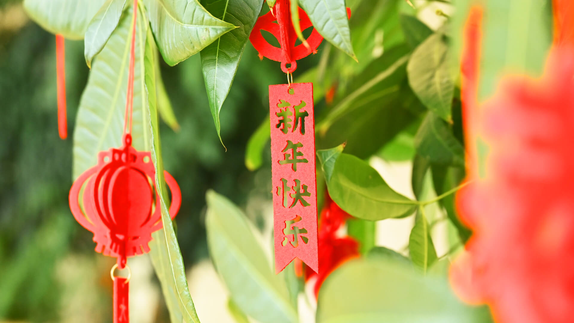 本日より営業再開＆準備は万全です！ 🐎✨